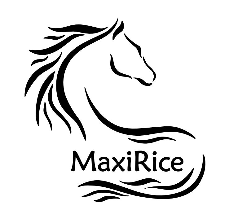Maxi Rice